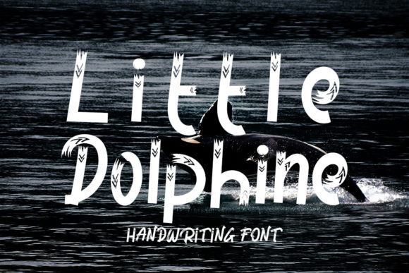 Little Dolphine: A Joyful Font for Business Branding