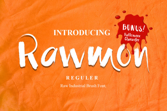 Rawmon: A Unique Display Font for Business